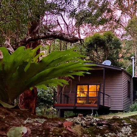 Whispering Valley Cottage Retreat Maleny Exteriér fotografie