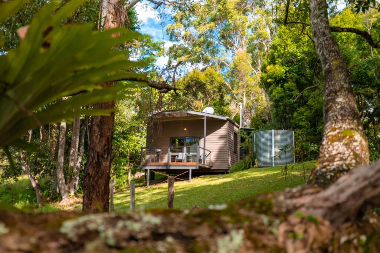 Whispering Valley Cottage Retreat Maleny Exteriér fotografie