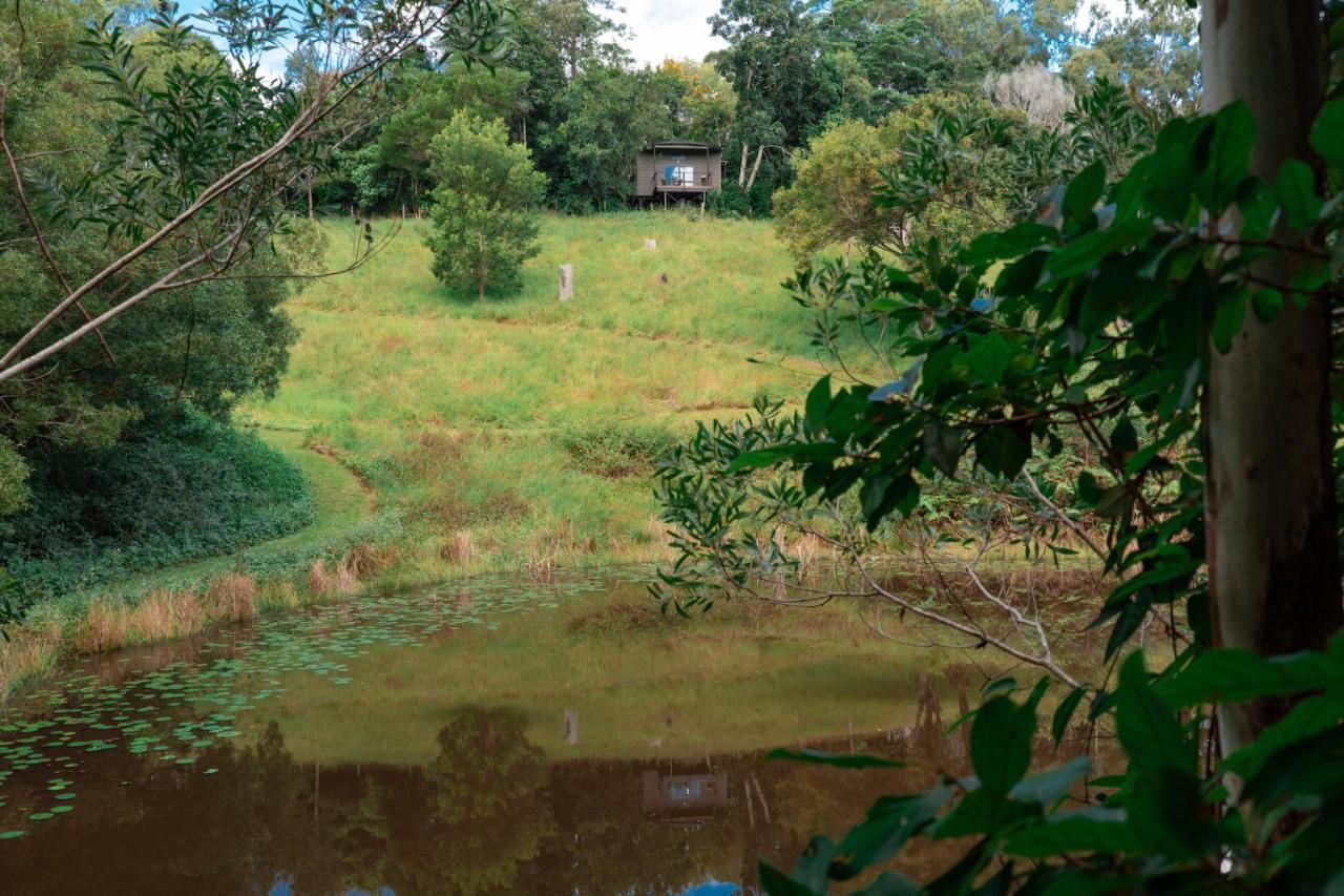 Whispering Valley Cottage Retreat Maleny Exteriér fotografie