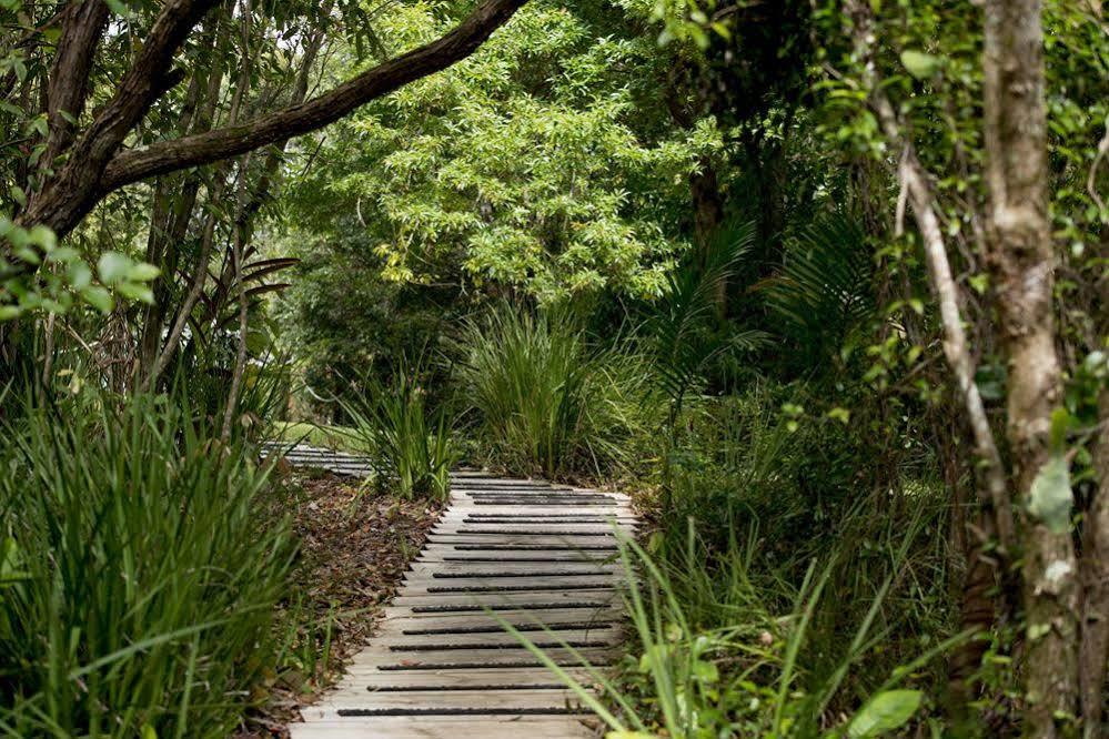 Whispering Valley Cottage Retreat Maleny Exteriér fotografie